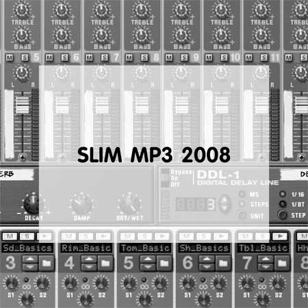 Voorkant SLIM mp3 CD 2008